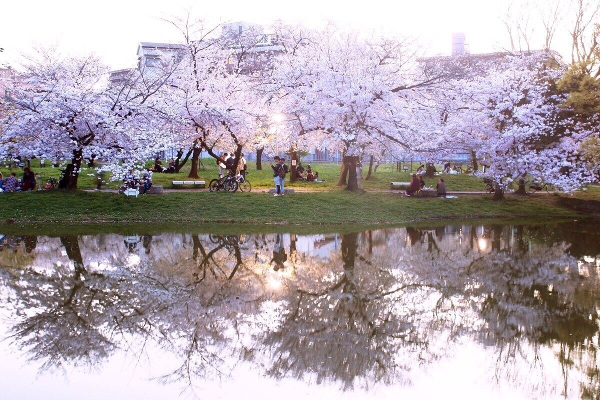 🏞️ 스미요시 연못(스미요시이케) 이미지 7